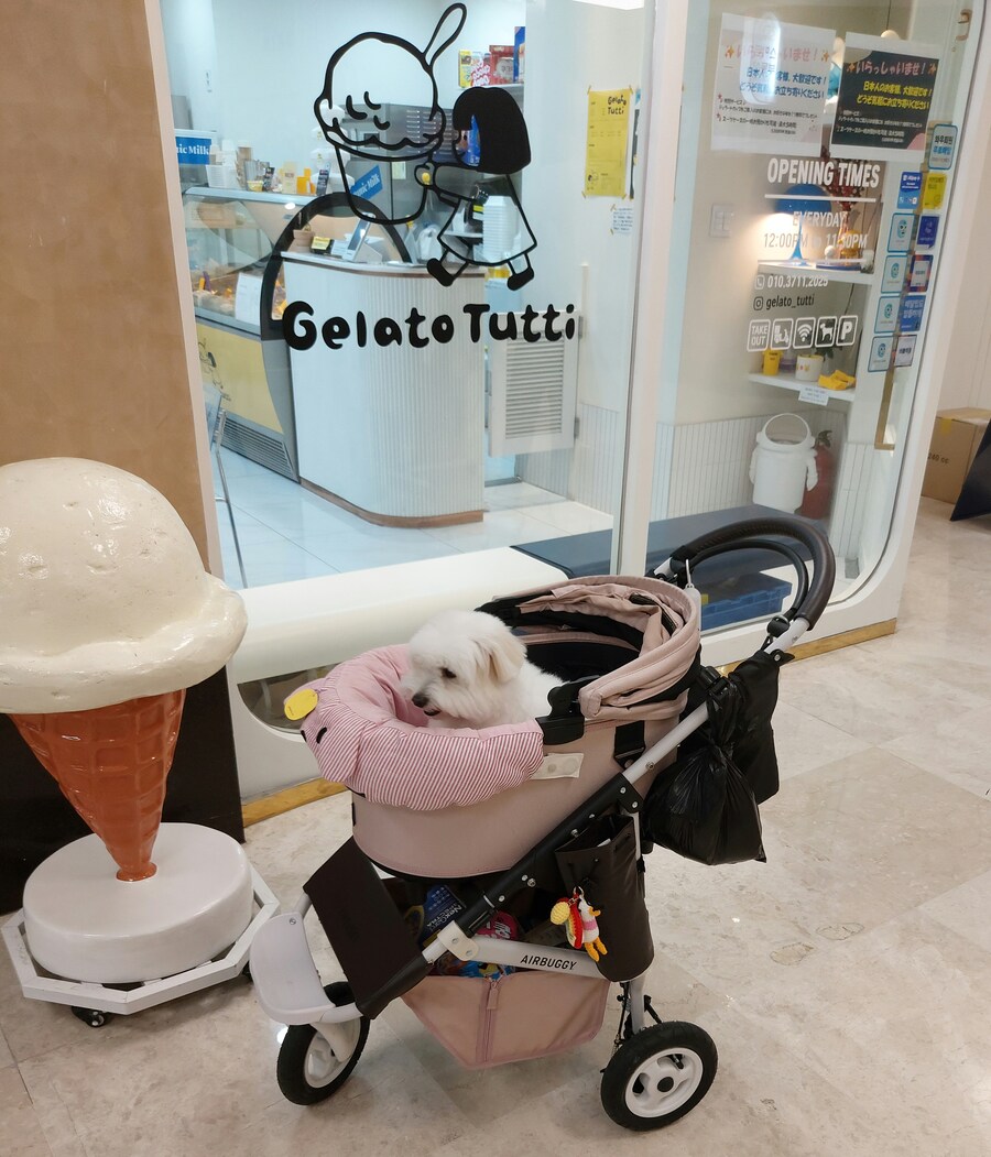 아이스크림 견_1.jpg