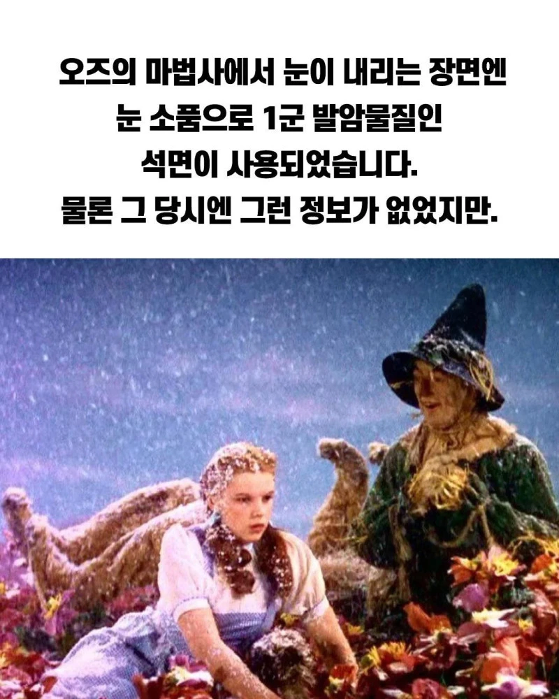 괴담이 끊이지 않는 고전 레전드 영화.jpg_1.webp