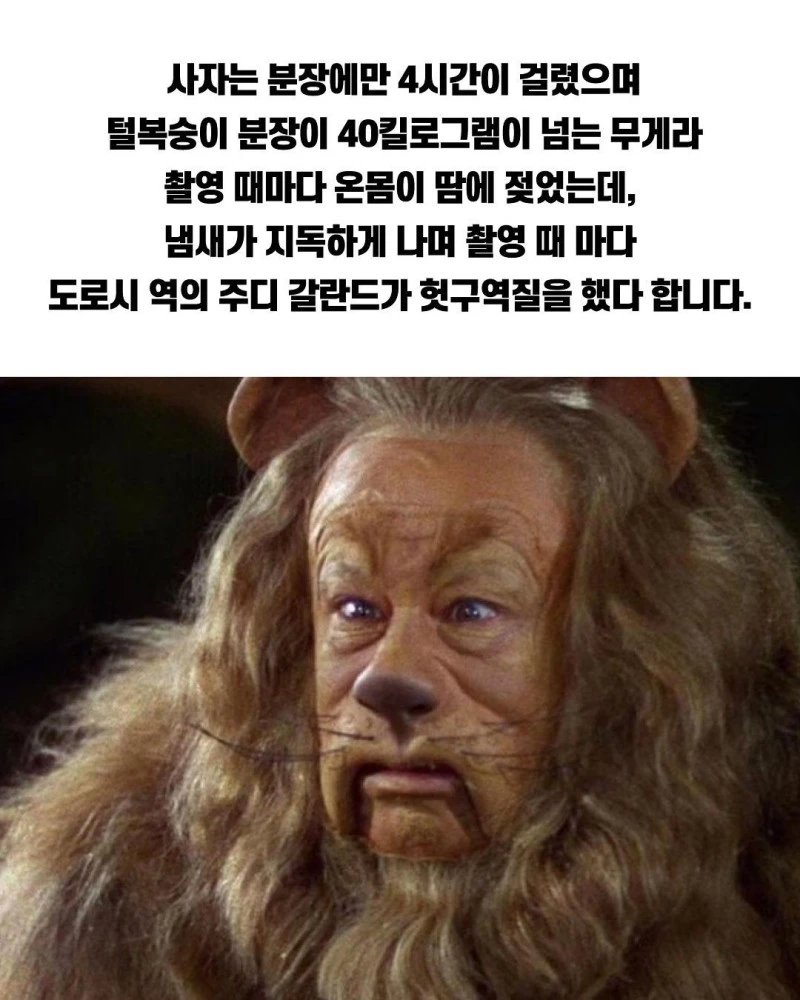 괴담이 끊이지 않는 고전 레전드 영화.jpg_5.webp
