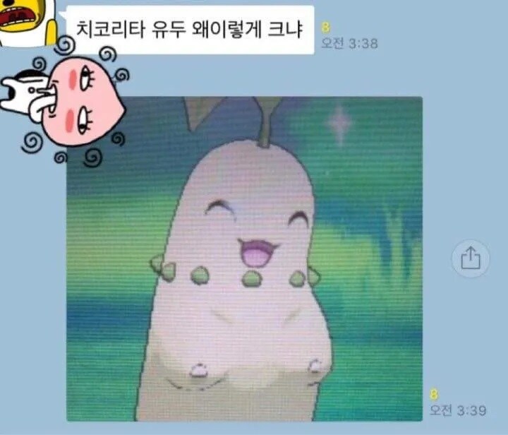 치코리타 유두 왜이렇게 크냐?_1.jpg