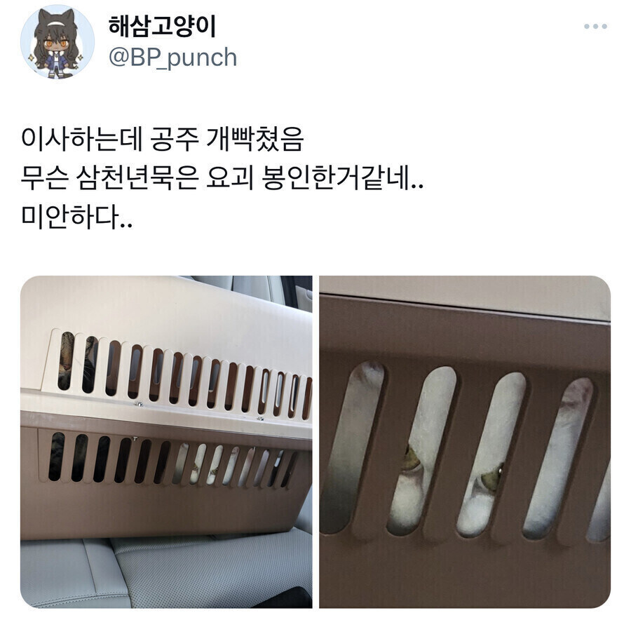 봉인이 풀리는 순간 세상을 멸망시키는 요괴 클리셰_1.jpg