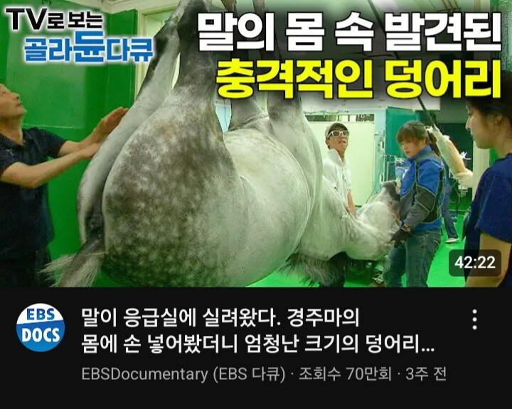 EBS 킷사마!!!!!!!!!!!!!!_1.jpg