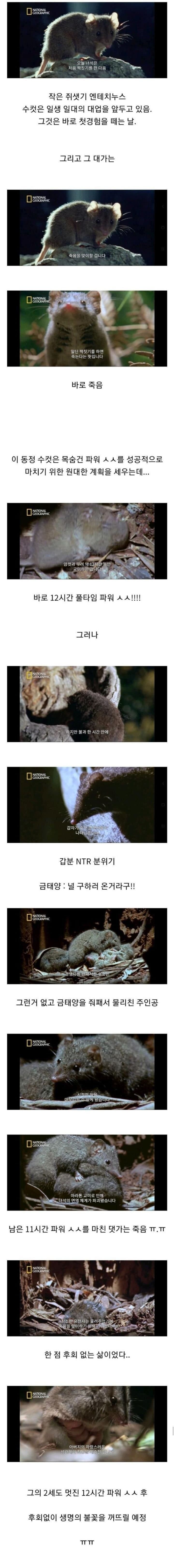 진정한 타임어택 포유류_1.jpg