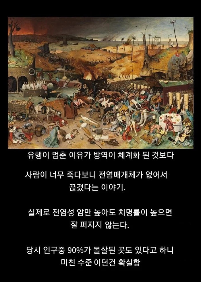 중세에 흑사병 유행이 멈춘 이유_1.jpg