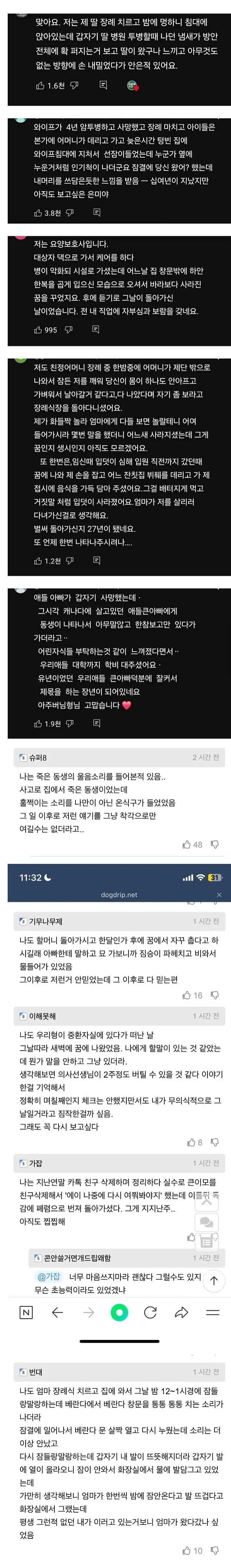 죽은 사람이 찾아왔다는 사람들_1.webp