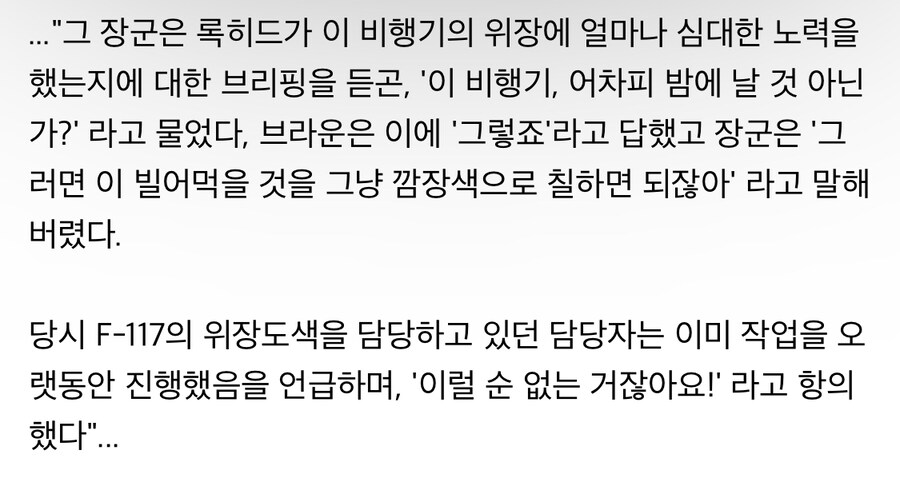 비행기에 열심히 위장도색한 정비병의 최후_3.jpg