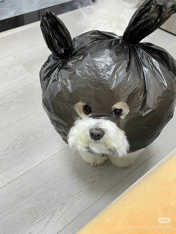 나는 복수다_1.jpg
