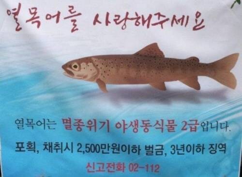 이 집 매운탕 잘하네_2.jpg