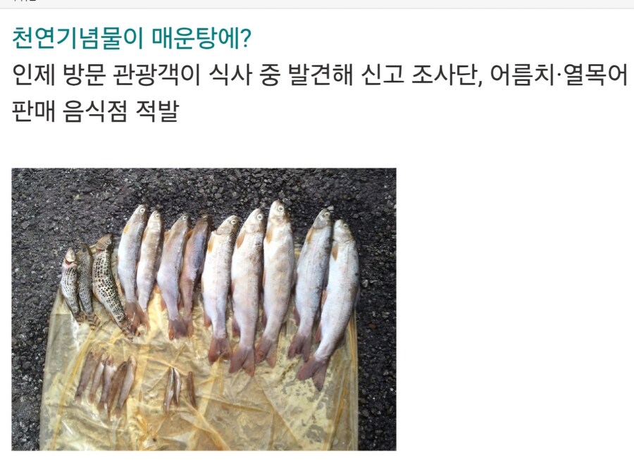 이 집 매운탕 잘하네_3.jpg