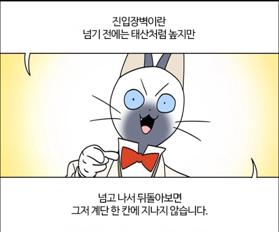 진입장벽이란건 다 허상입니다!.manhaw_11.webp