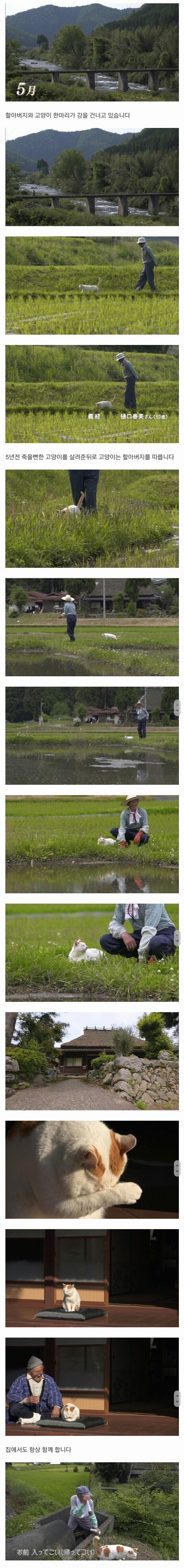 할아버지와 고양이_1.jpg