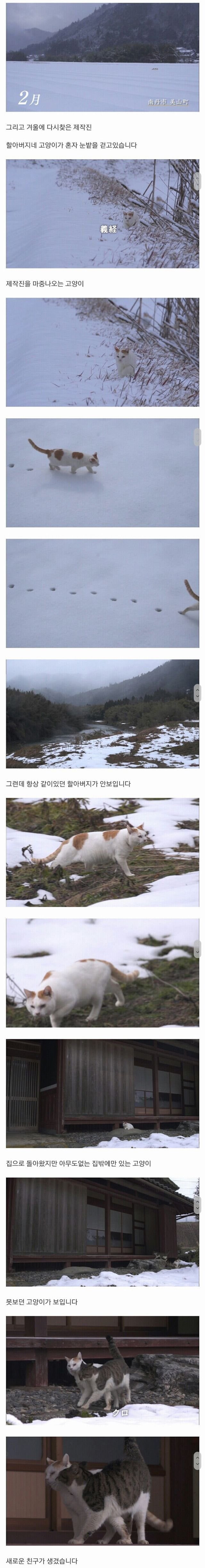 할아버지와 고양이_2.jpg