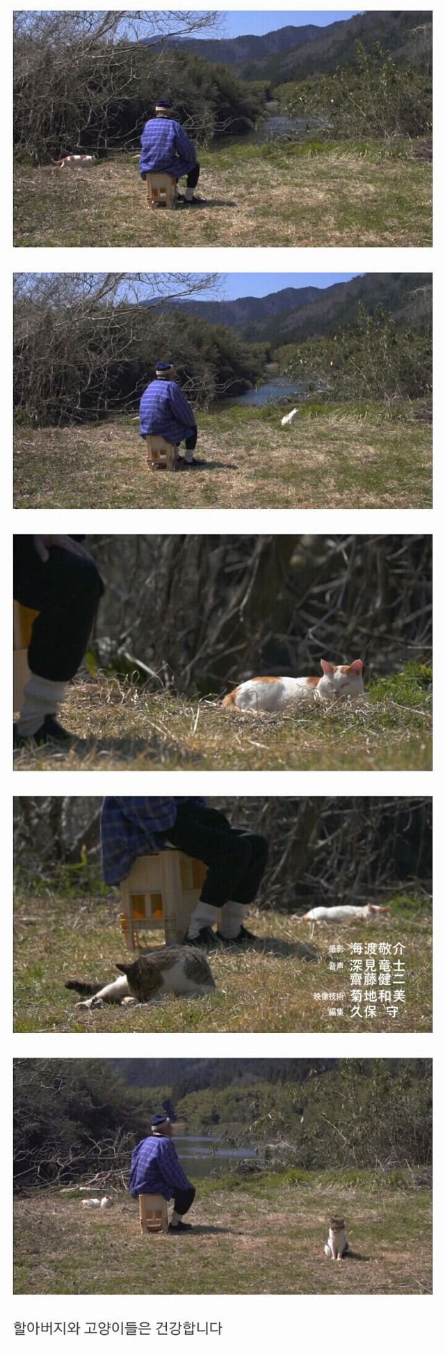 할아버지와 고양이_6.jpg
