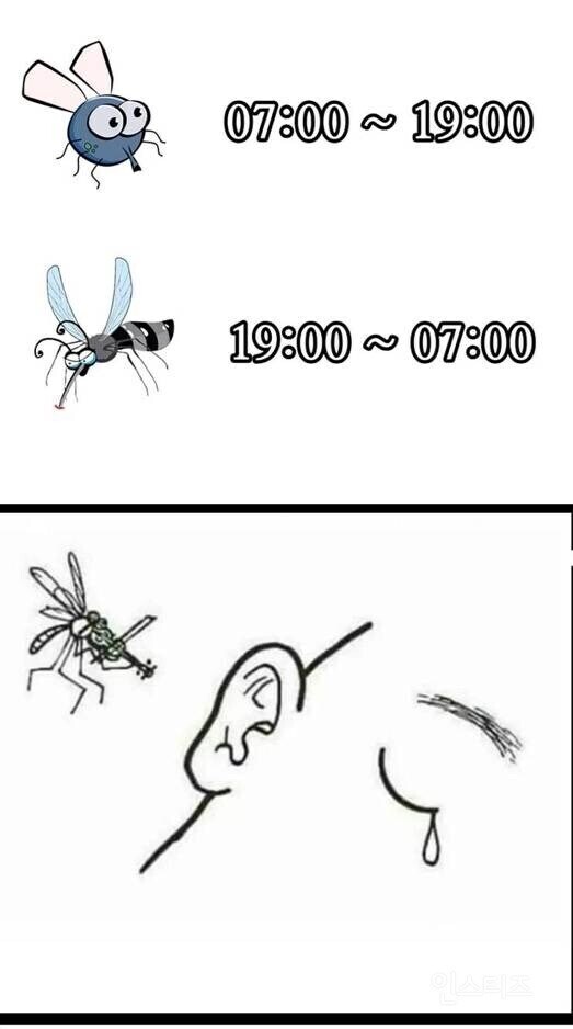 다음 달쯤 도입 예정된 주야 교대 시스템.jpg_1.jpg