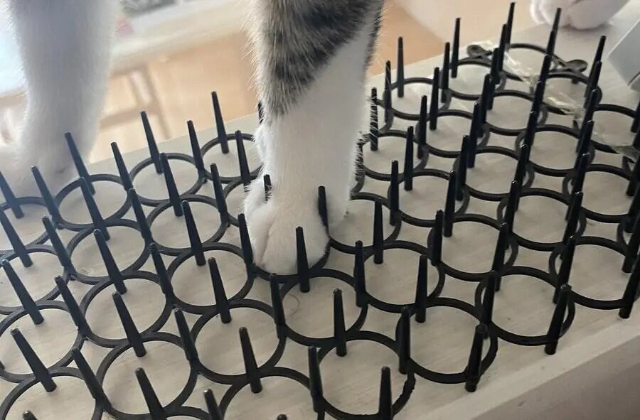 길고양이 퇴치용 장판 구매 후기. jpg_1.jpg