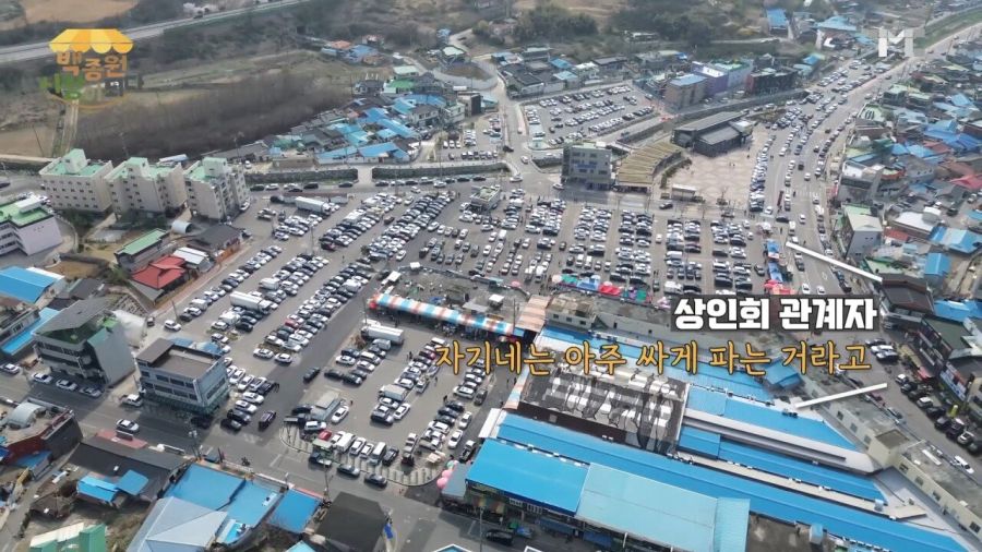 백종원 시장이 되다.jpg_10.jpg