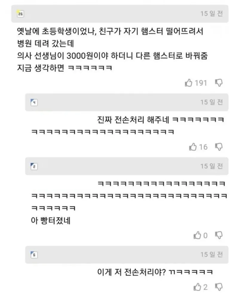 햄스터 전손처리하라는 사람들.jpg_3.webp
