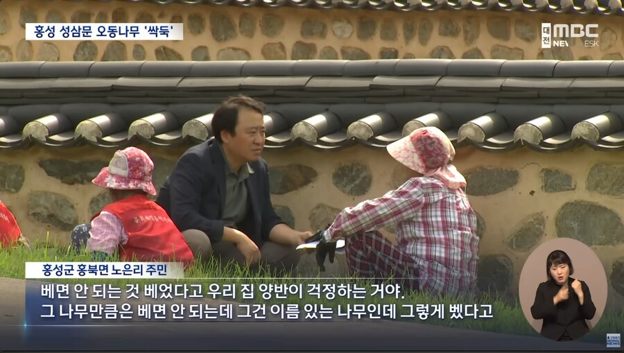 성삼문 오동나무 싹뚝, 홍성군