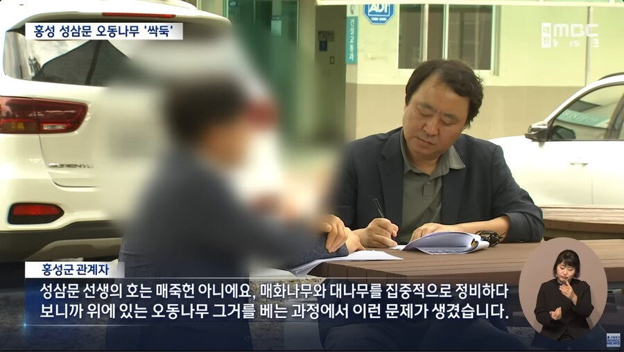 성삼문 오동나무 싹뚝, 홍성군