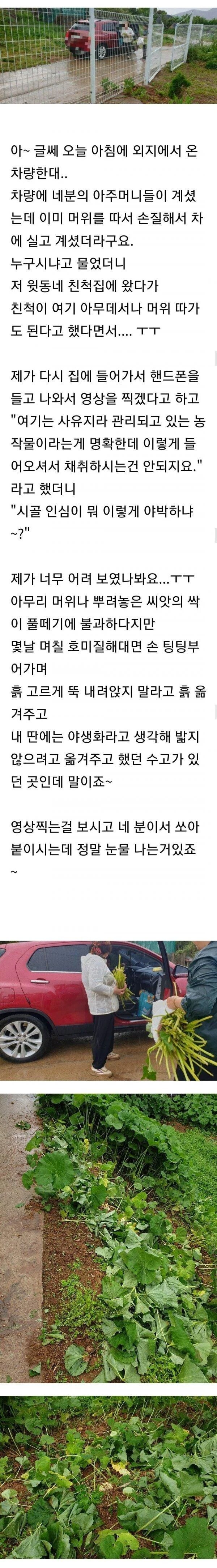 시골 인심 강요당한 사람.jpg_1.png