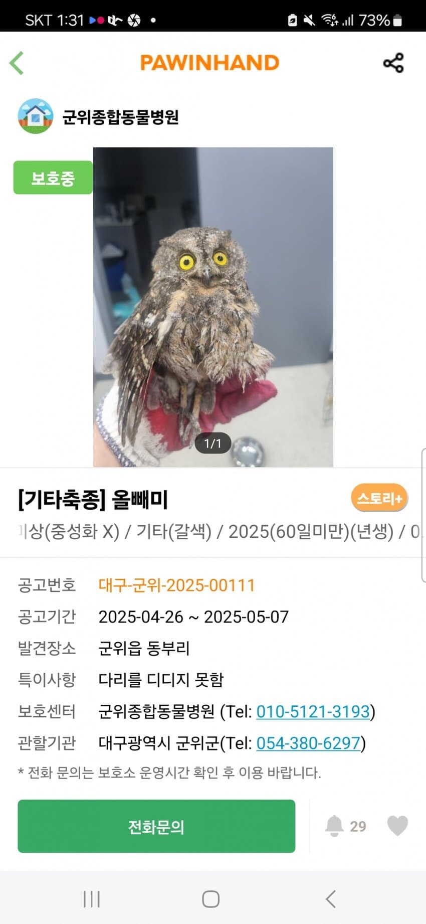 흔한 유기동물 보호소의 입양 공고_2.jpg