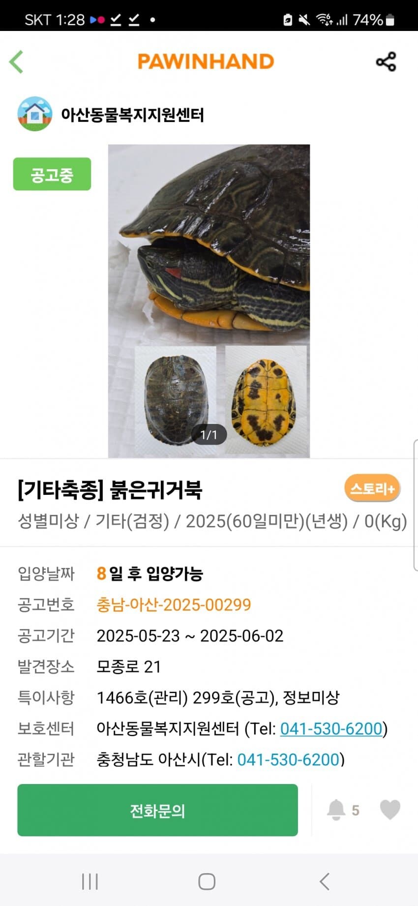 흔한 유기동물 보호소의 입양 공고_3.jpg