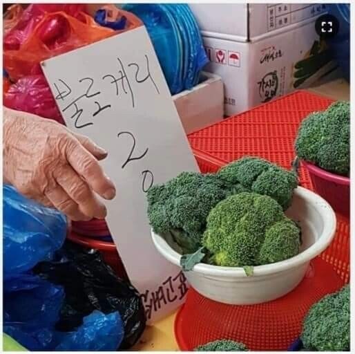 한국에서 다양한 이름으로 불리는 채소_1.jpg