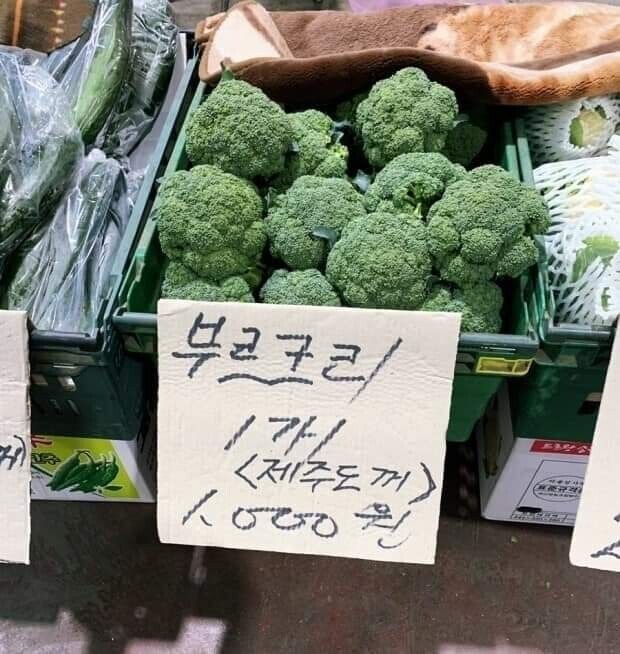 한국에서 다양한 이름으로 불리는 채소_2.jpg