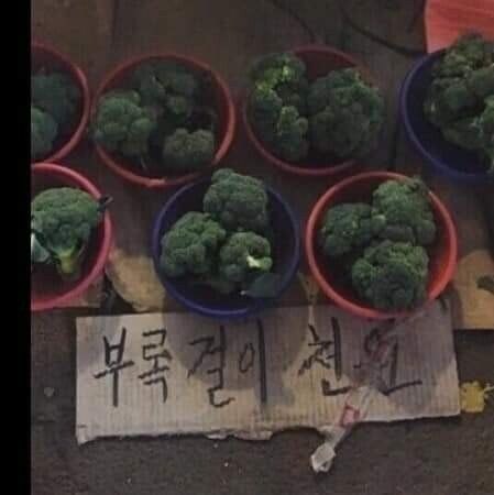 한국에서 다양한 이름으로 불리는 채소_4.jpg
