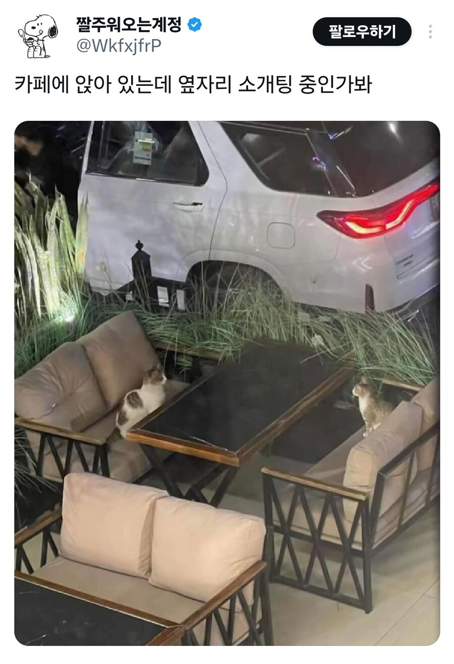 카페왔는데 옆자리 소개팅하는 중.jpg_1.jpg