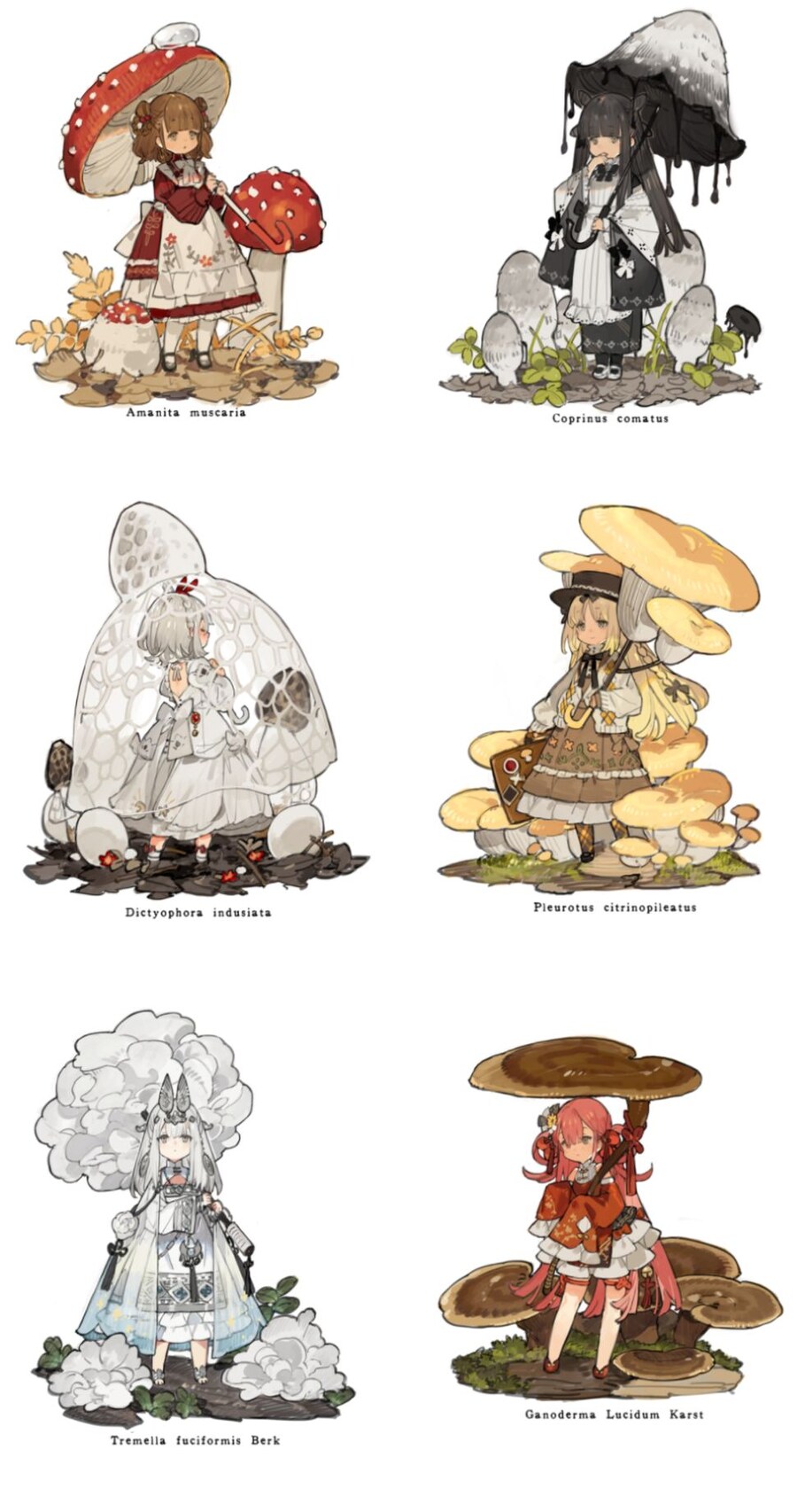 귀엽고 먹음직스러운 버섯들.jpg_1.jpg