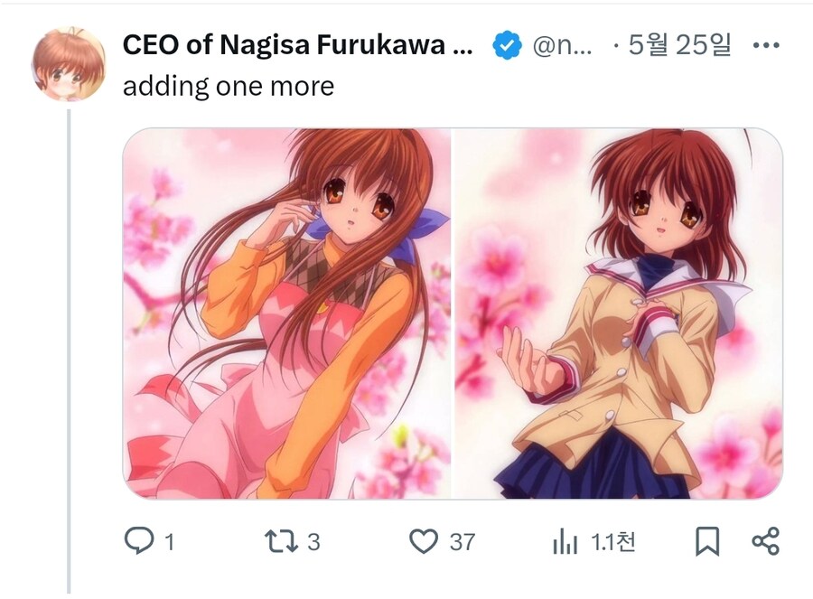 ctrl + c, ctrl + v_2.jpg
