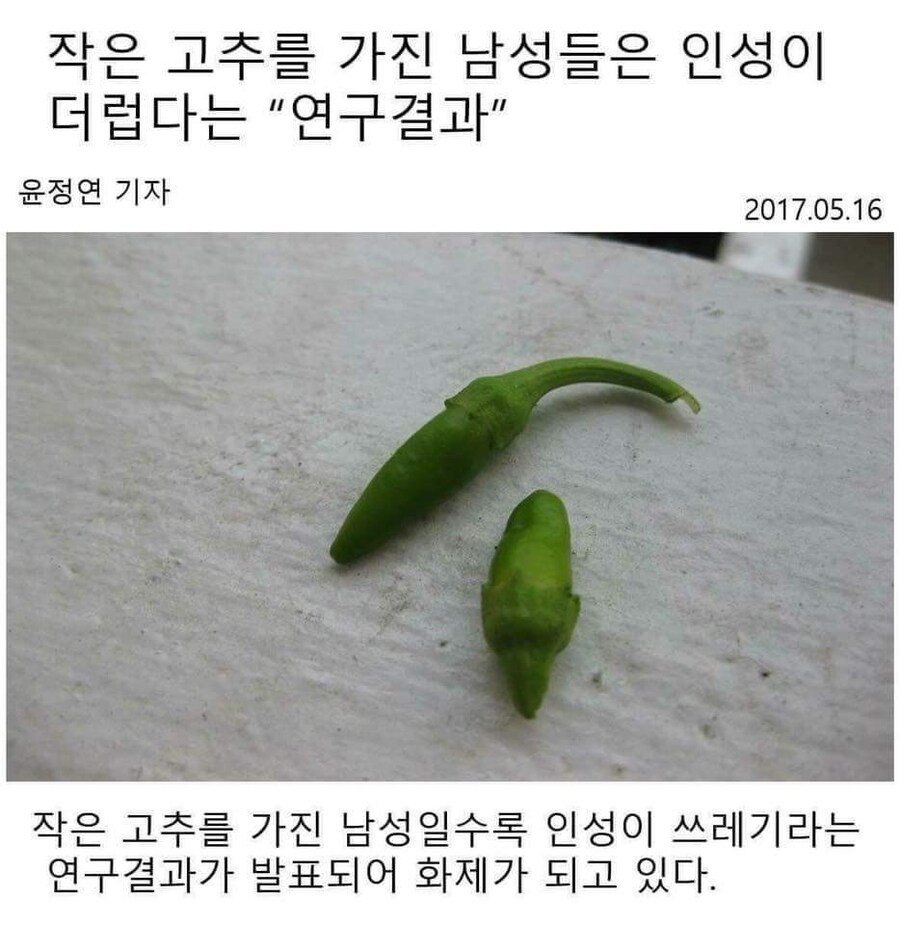 작은 ㄲㅊ를 가진 남성들은 인성이 더럽다는