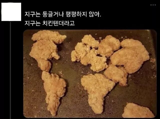 지구 평평성 같은걸 주장하는 바보는 없겠지_1.jpg