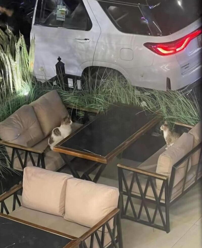 카페에 앉아 있는데 옆자리 소개팅 중인가봐_1.jpg