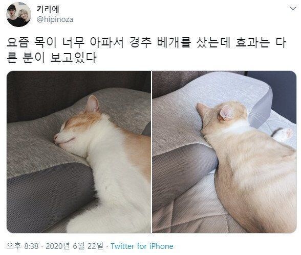 경추베개 좋냐?.jpg_1.jpg