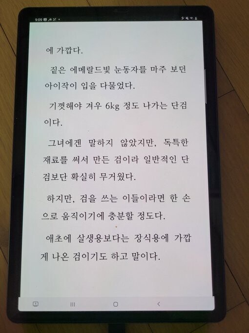 기껏해야 겨우 6kg 정도 나가는 단검_1.jpg