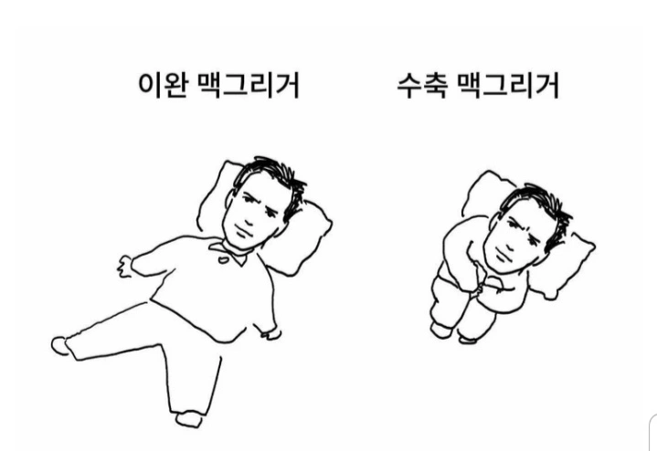 헐리우드 배우 개그.jpg_3.webp