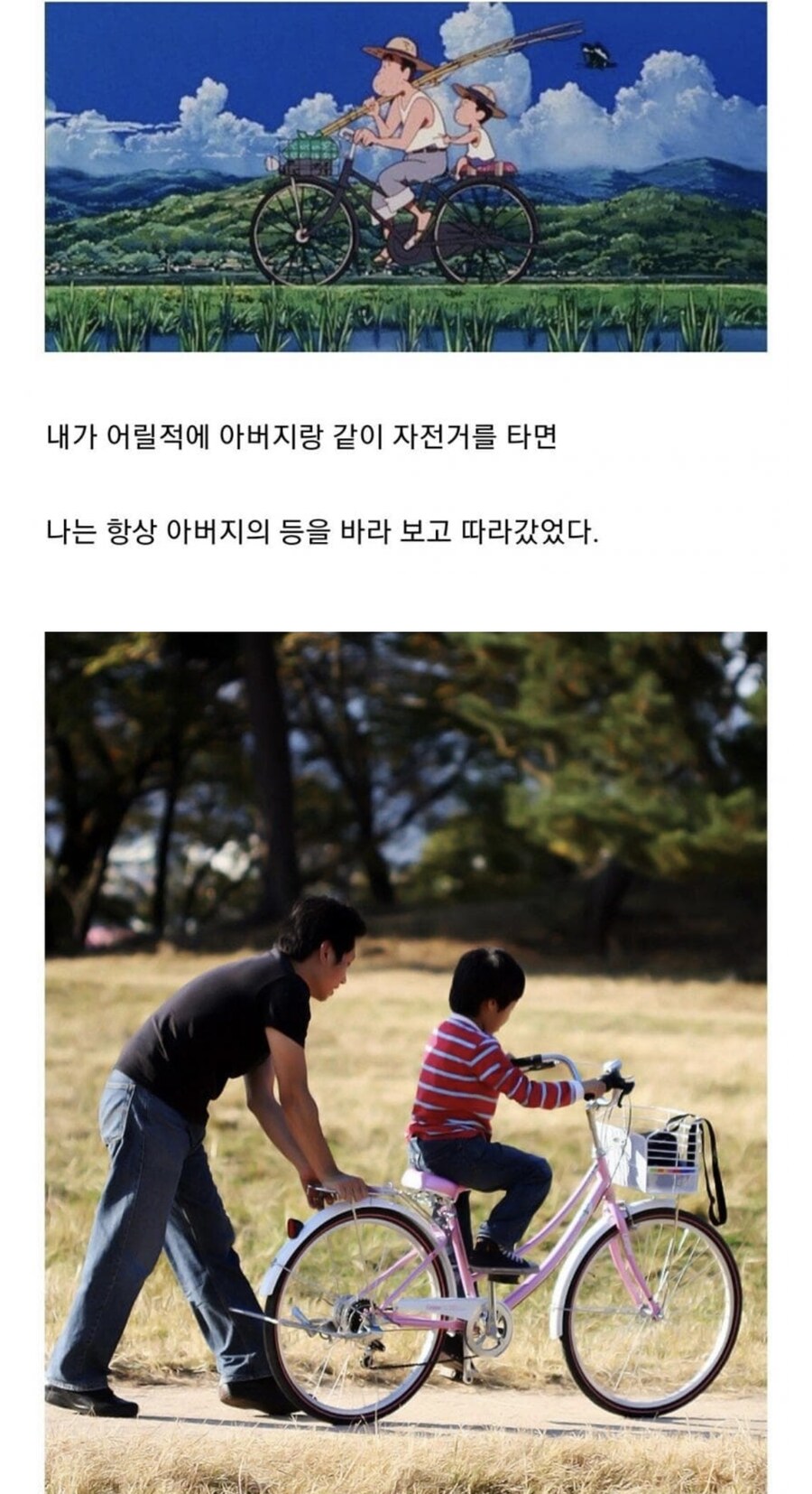 어릴적 아버지의 등을 보며 타던 자전거의 추억.jpg_1.jpg