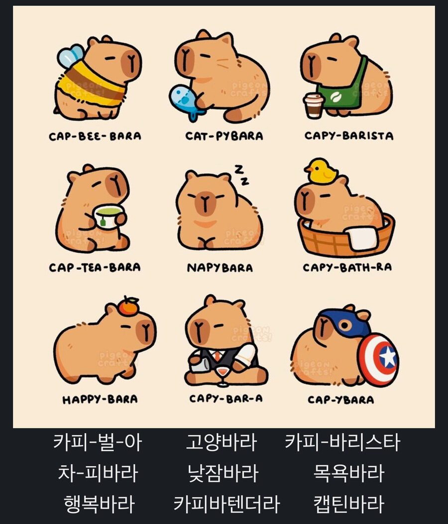 카피바라 유형_1.jpg