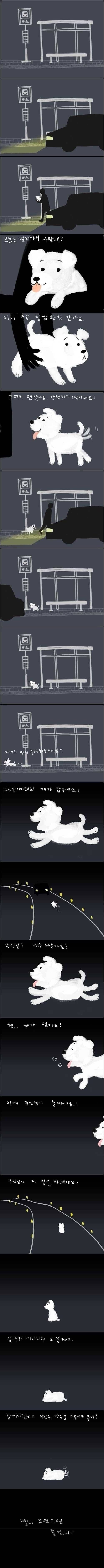 댕댕이가 버려질 때의 심리_1.jpeg