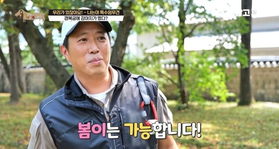 동물 출입이 제한적인 경복궁에 출입이 가능한 강아지_3.jpg