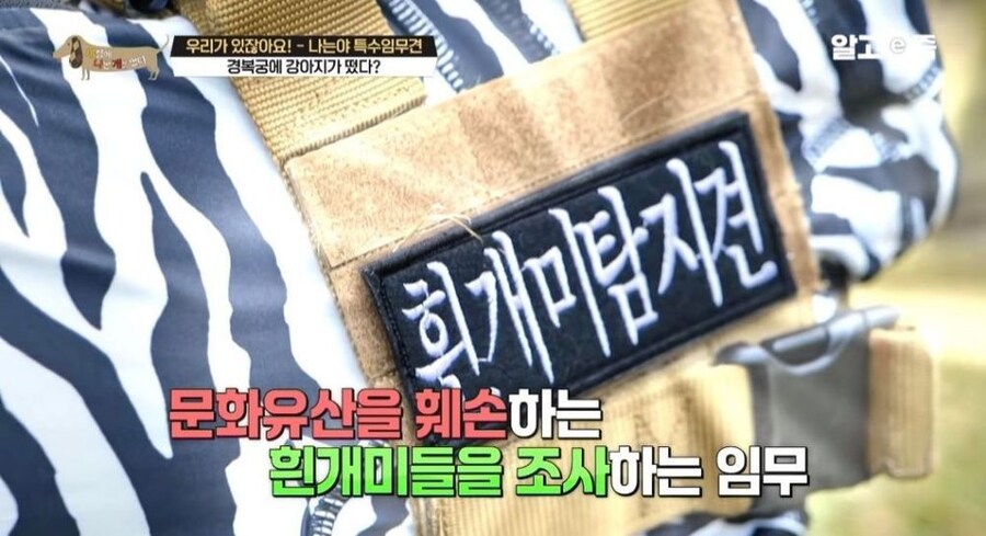 동물 출입이 제한적인 경복궁에 출입이 가능한 강아지_4.jpg