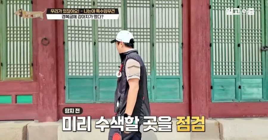 동물 출입이 제한적인 경복궁에 출입이 가능한 강아지_9.jpg
