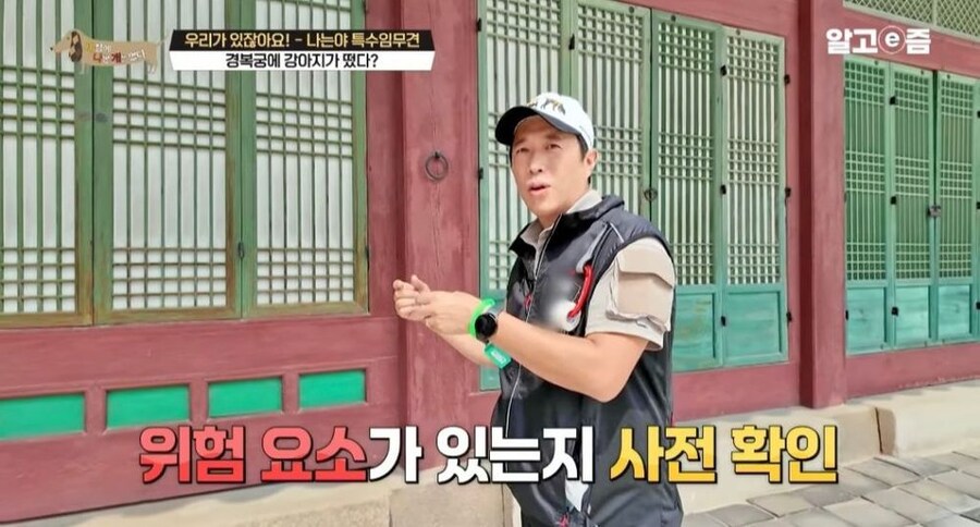 동물 출입이 제한적인 경복궁에 출입이 가능한 강아지_10.jpg