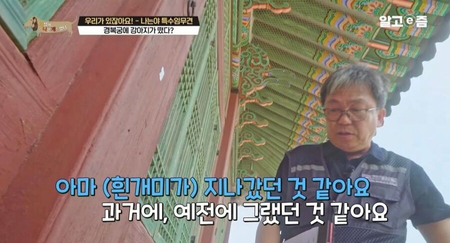 동물 출입이 제한적인 경복궁에 출입이 가능한 강아지_14.jpg