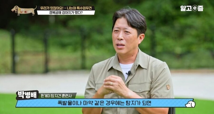 동물 출입이 제한적인 경복궁에 출입이 가능한 강아지_16.jpg