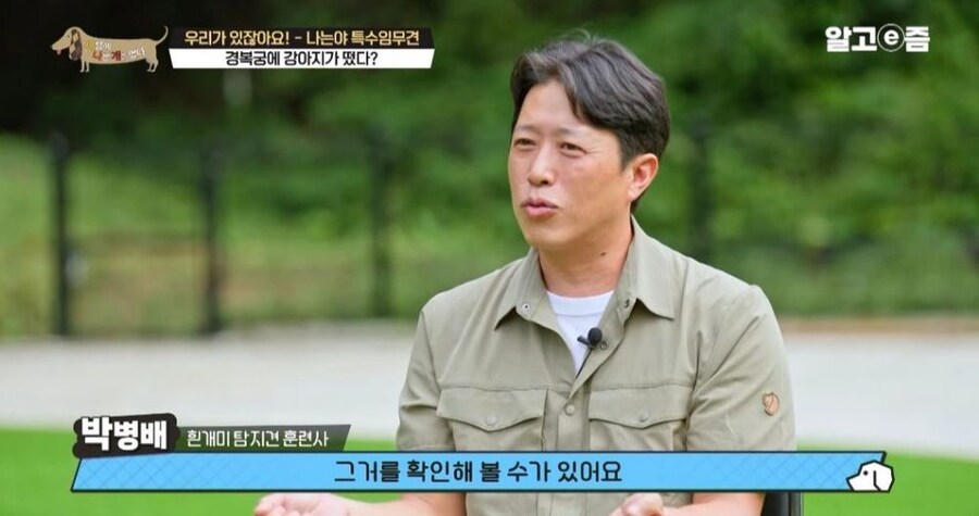 동물 출입이 제한적인 경복궁에 출입이 가능한 강아지_17.jpg