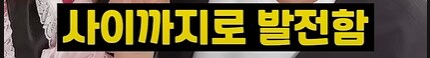 미성년자 아이돌 쫓아다니던 45세 남성의 최후_17.png