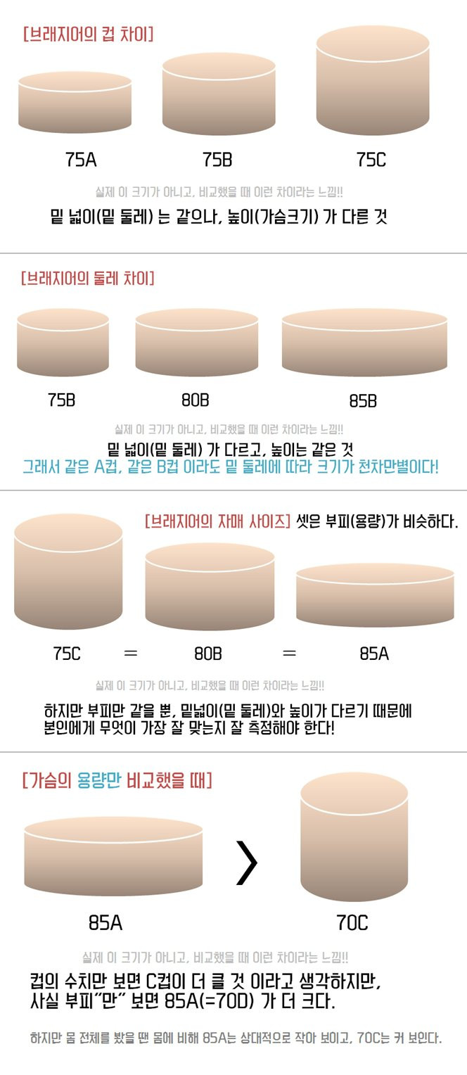 가슴 사이즈에 대해 남자들이 잘 모르는 점_1.jpg